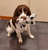 woofie