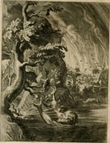 standard_compressed_Tantalus-1804056727