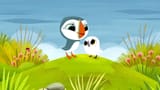 puffin rock