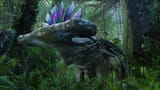 hammerhead pandora