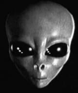 greyass looking ass big head ass ayylmao