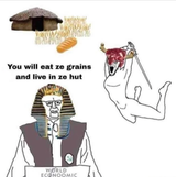 dvq2auwmn1y91