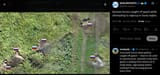 Russian forces caught off guard while attempting to regroup in Sumy region. 25-06-2025