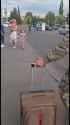 Dont forget what Ukrainian men, and women, are going through. 25-06-2025 HD_thumb.jpg