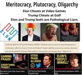musk meritocracy2