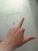 1729170073251895