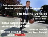 Parera