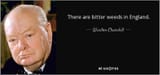 quote-there-are-bitter-weeds-in-england-winston-churchill-146-25-53