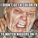 Didn&#039;t get color TV to watch niggers
