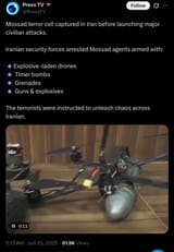 Mossad cell