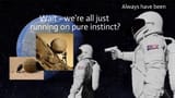 sisyphusinstinct