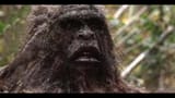 Sasquatch