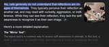 Screenshot 2025-06-26 at 09-52-38 do cats understand reflections - Google Search