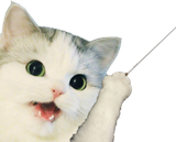 cat_checked