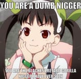 Dumb_Nigger