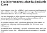 south korean shot