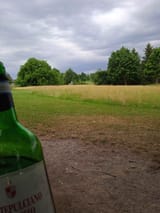 IMG_20250626_165251_1