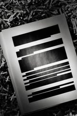 redacted-shredded-documents