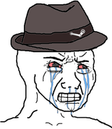 600-6004918_view-samegoogleiqdbsaucenao-steam-wojak-crying-wojak-hat-clipart-3372884172