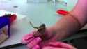 BUGS_thumb.jpg