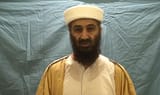 bin laden cgi