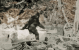 Bigfoot gif