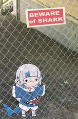 beware shark