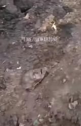 1737381942245527