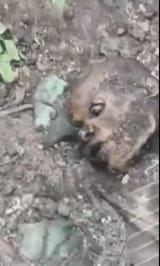 1743623019438684