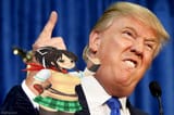 Asuka_Senran_Kagura_and_Donald_Trump_comparison_meme