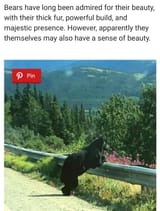 burr_taking_in_view