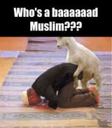 fb_img_1490705990099