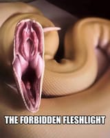 1648389407311
