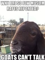 goats