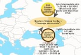 Yamnaya_pastoralists,_main_genetic_ancestry-2