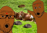 the Pole simp and the gayporn spammer