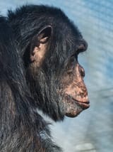 IMG_1969
