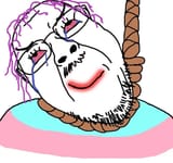 7qz7nt