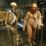 Neanderthal