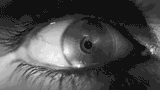 1649957216029