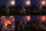 1424732072.thetigress_wolftfsmall