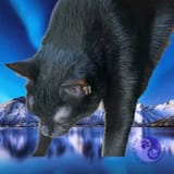 Morgen-hangingfeet-glacierlake-underpaiting-logo-wayofcats-862x862