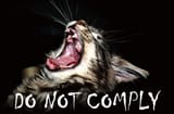 3c20357c-4f87-49f7-84dc-9c0c4bc1cc56_2300x1507