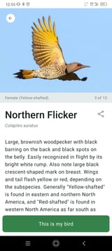 Screenshot_20250626-125551