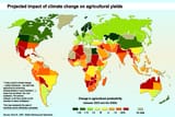 Projected_impact_of_climate_change_on_agricultural_yields_by_the_2080s,_compared_to_2003_levels_(Cline,_2007) (1)
