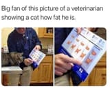 fat cat