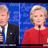 Hillary_fly