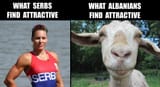 Serbs bs Albanians 1