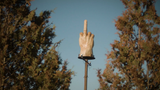 Screenshot 2025-06-26 at 15-25-35 middle finger at DuckDuckGo