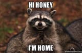 hi-honey-im-hstyql